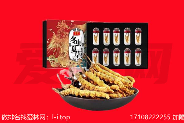 海曙区回收虫草.jpg